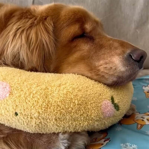 The Calming Dog- Komfortkudde